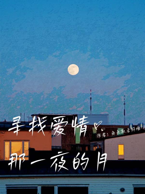 寻找爱情音乐