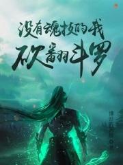 没有魂技的我,砍翻斗罗 没有魂技的我,砍翻斗罗
