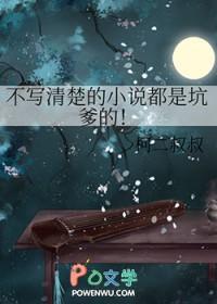不写清楚的小说都是坑爹的 不写清楚的小说都是坑爹的