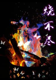 烧不尽(1v1) 烧不尽(1v1)