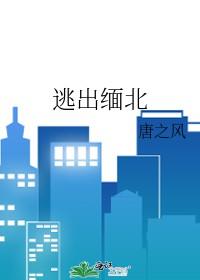 逃出缅北 逃出缅北